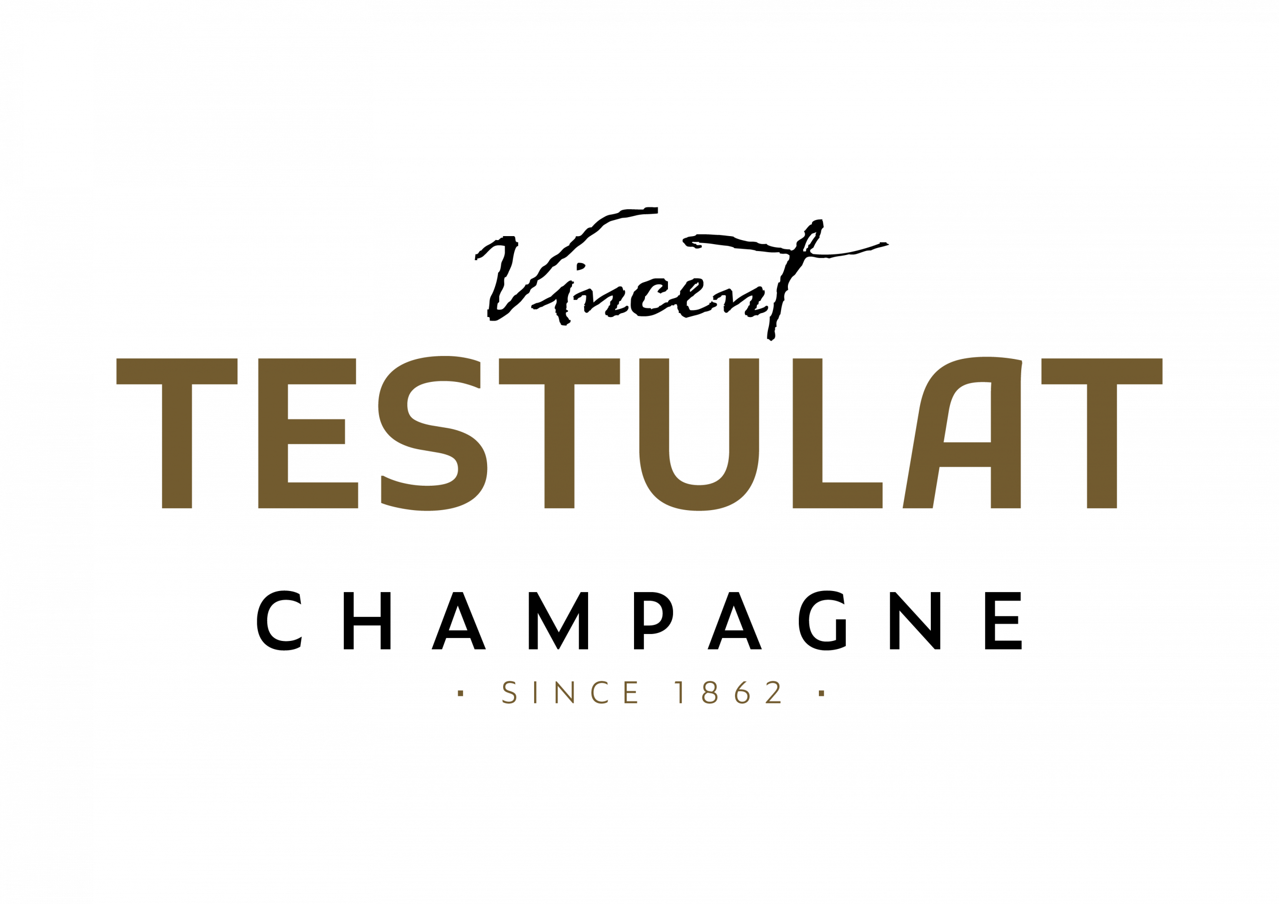 LOGO V TESTULAT SANS FOND