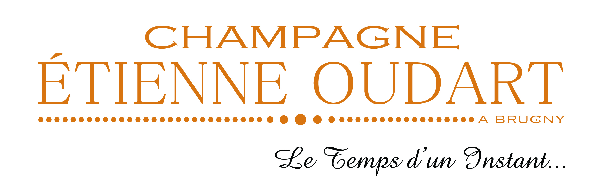 LOGOTYPE1